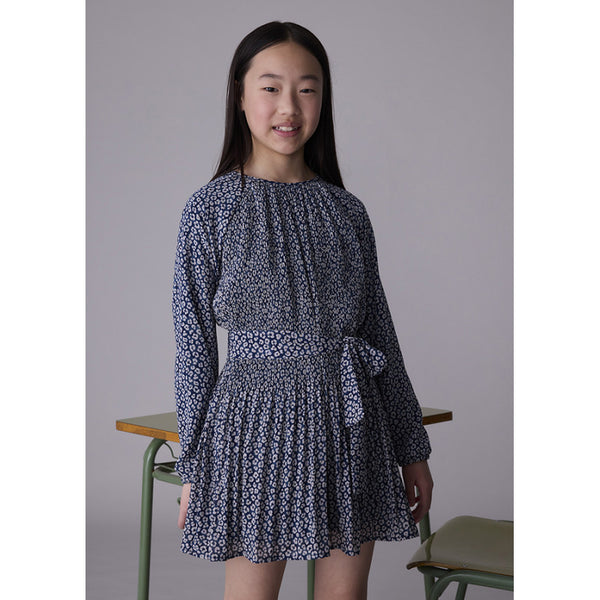 Pleated Floral Print Dress