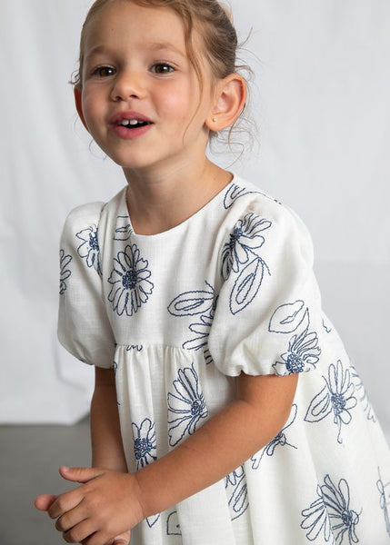 Blue Flower Embroidered Dress