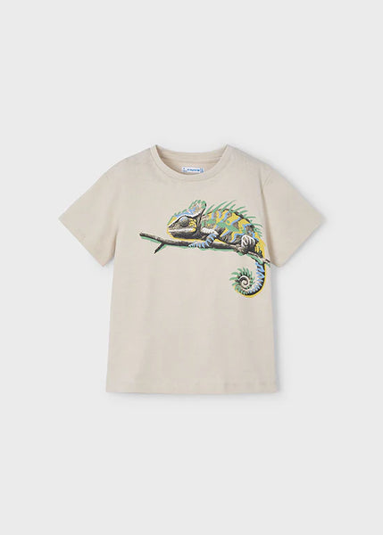 2pc Iguana Cotton Short Set