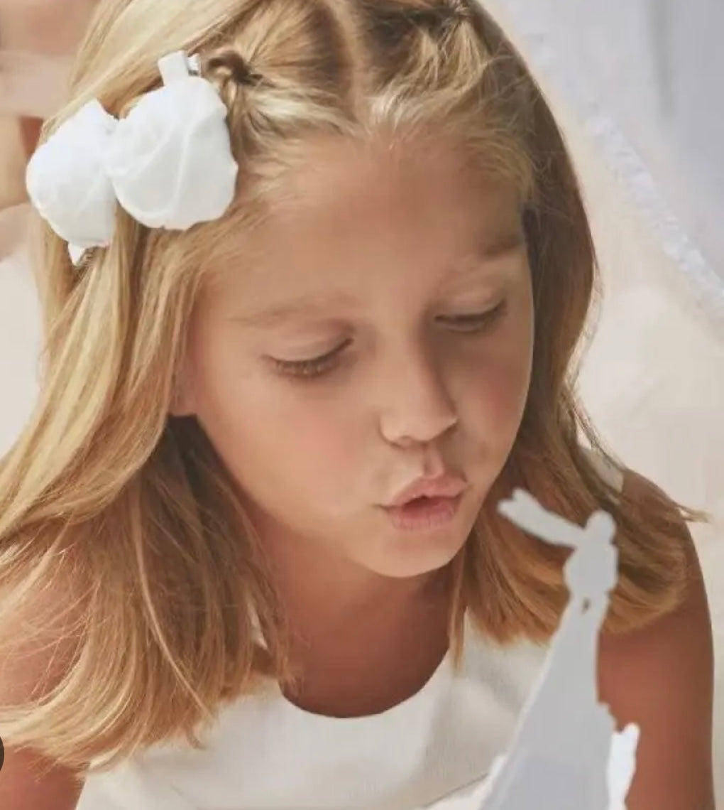 2pc Organza Rosette Clips