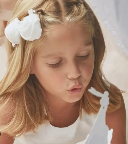 2pc Organza Rosette Clips