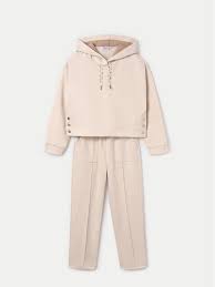 2pc  Dressy Hooded Tracksuit