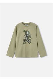 Dino Shirt