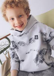 Landscape Hoodie