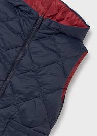 Hooded Reversible Vest