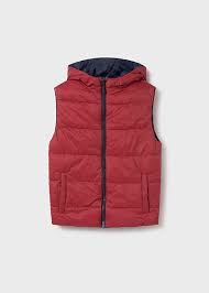 Hooded Reversible Vest