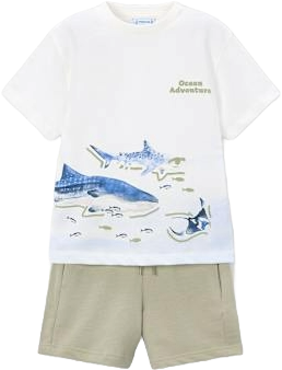 2pc Shark Jersey Short Set