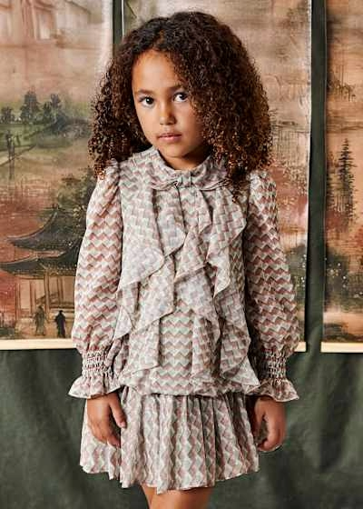 Printed Chiffon Dress