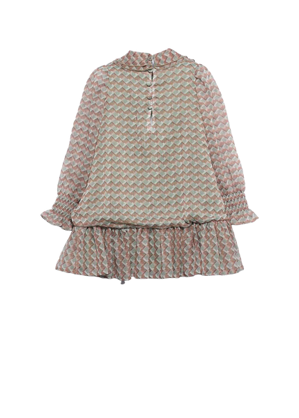 Printed Chiffon Dress