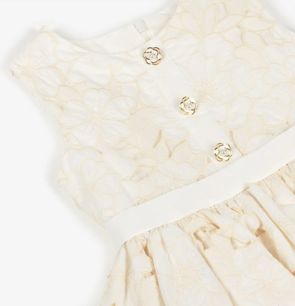 Champagne Floral Lace Party Dress