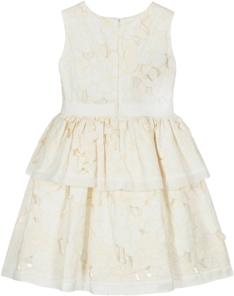 Champagne Floral Lace Party Dress