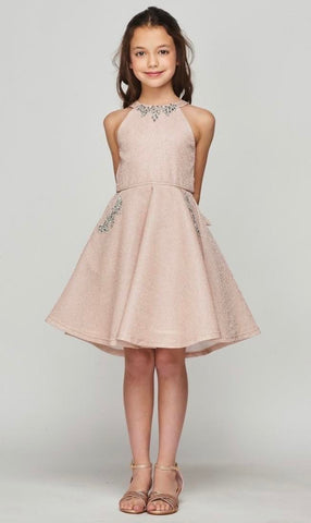 Halter Shimmer Embellished Dress