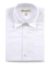 Standard Dress Shirt