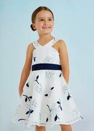 Embroidered Organza Navy Floral Dress